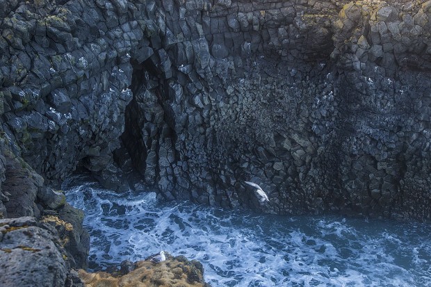 Word(s) of the day: "zawn" - wave-smashed cleft or chasm in a sea-cliff (from Cornish sâwn/sawan)