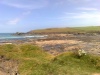 Trevone June