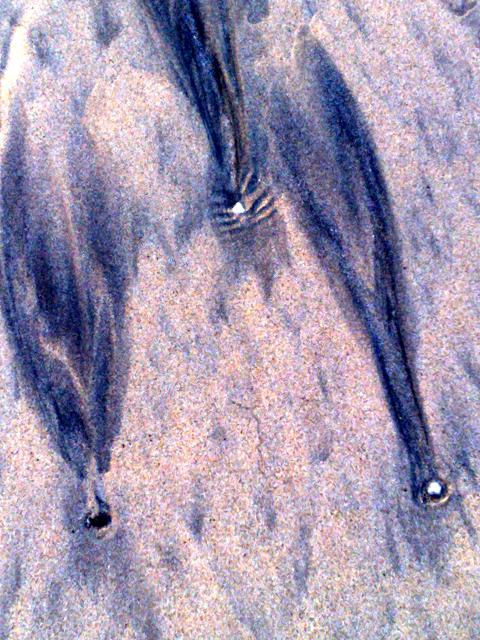 Patterns on Gwithian Beach - December 2008