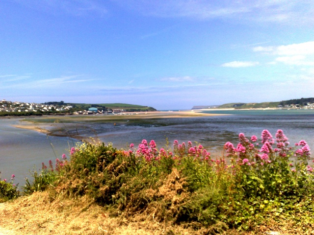 Valerian at the Iron Bridge - Padstow, 2014