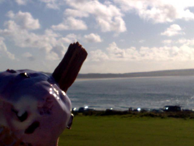 Birthday Ice Cream