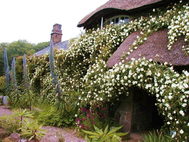 Cottage @ Penberth