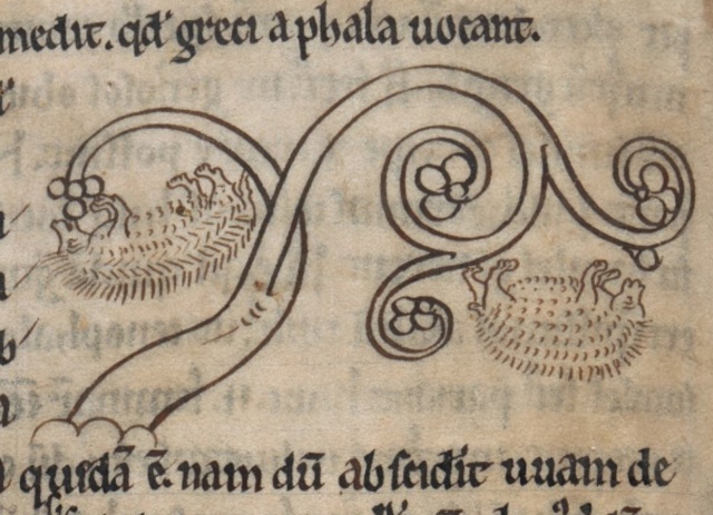 Zero-gravity hedgehogs