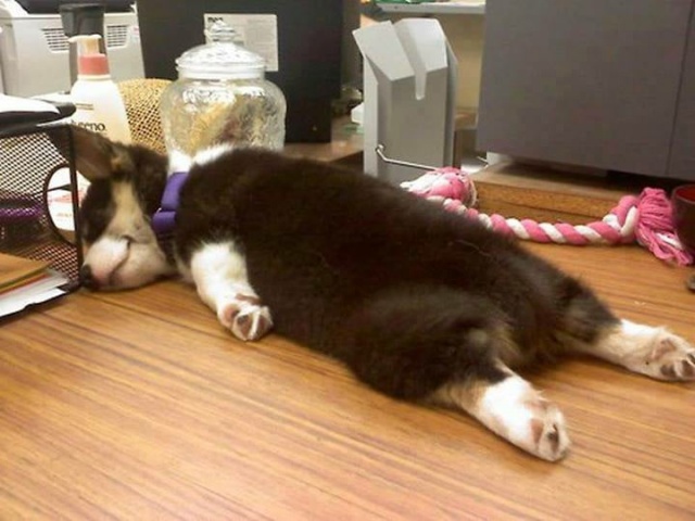 Tiredness...